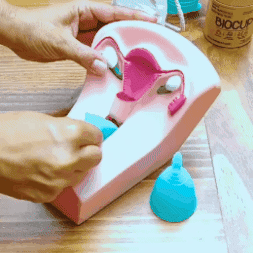 Copa menstrual