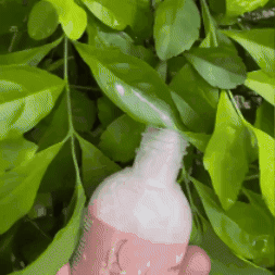 Keratina Luna orgánica